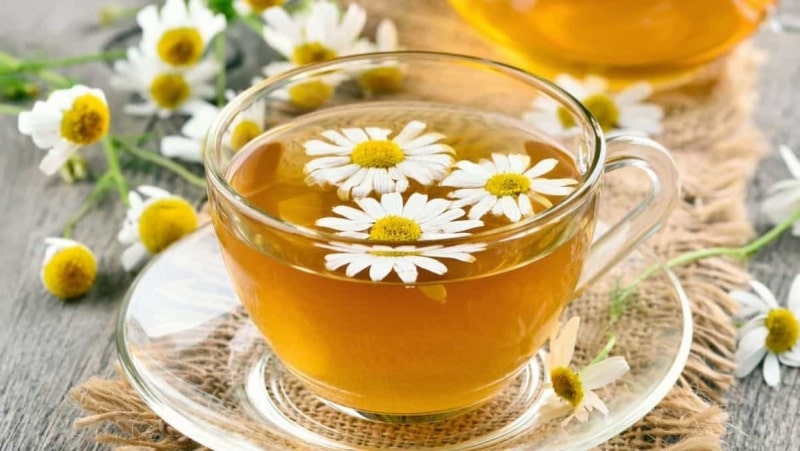 Người bệnh lấy hoa cúc tươi rồi hãm thành trà để uống đều đặn hàng ngày