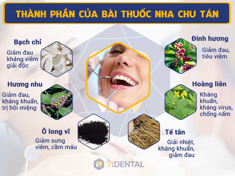 Các thành phần thảo dược của bài thuốc